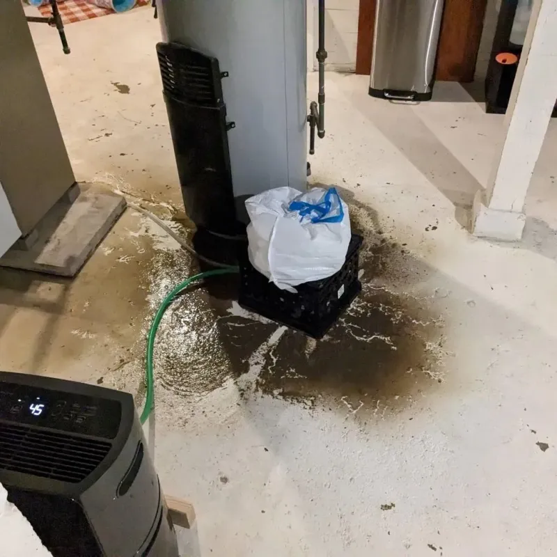 Sewage Backup Cleanup Service in Belle Meade, TN